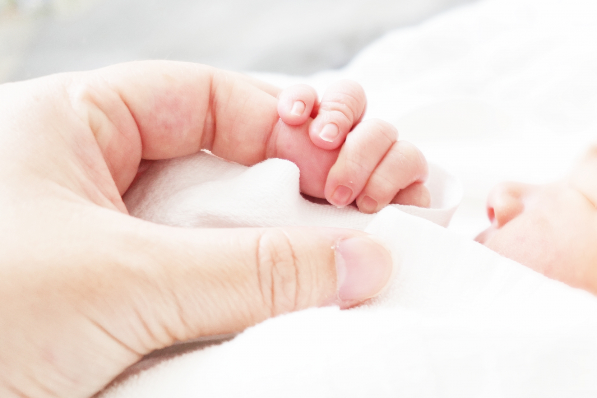 ミシンと職人の手