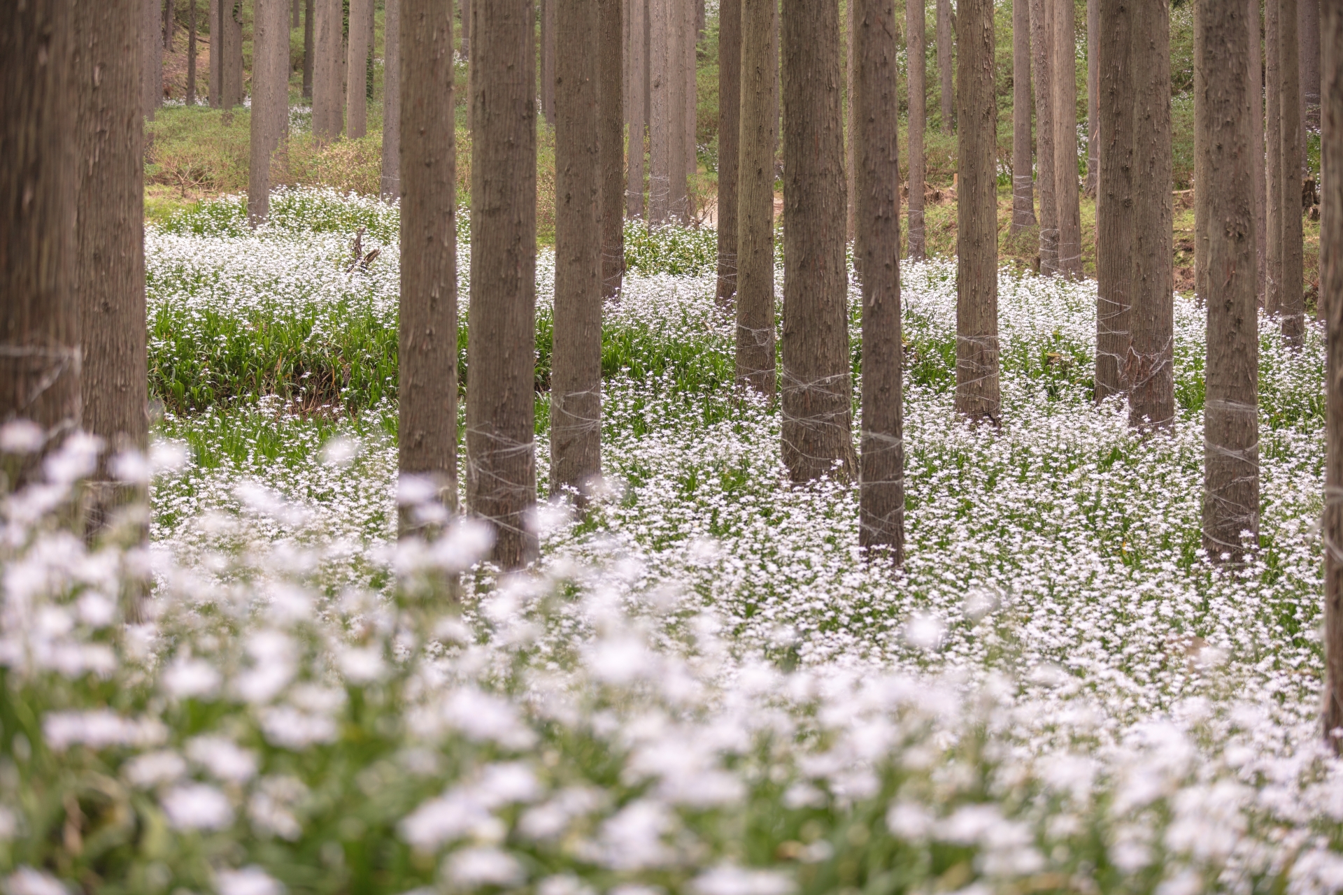 夕暮れの工場イメージ